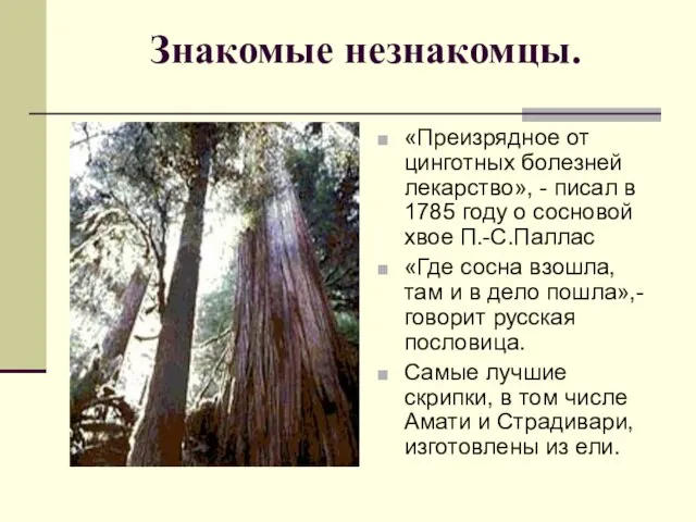 Знакомые незнакомцы. «Преизрядное от цинготных болезней лекарство», - писал в 1785 году