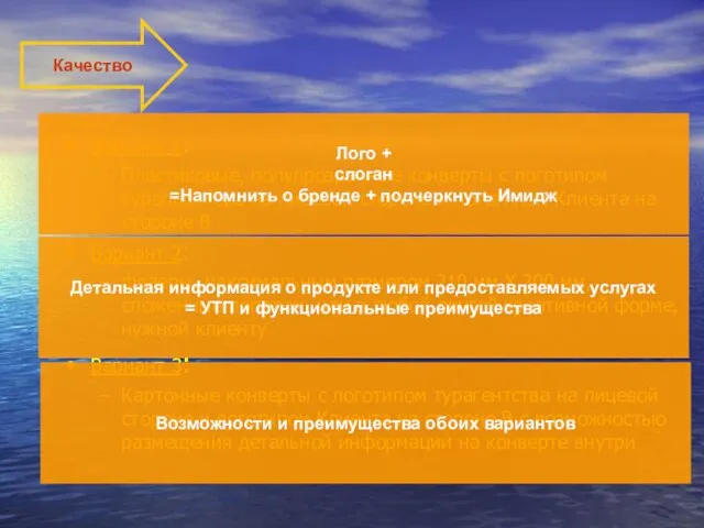 Качество Вариант 1: Пластиковые, полупрозрачные конверты с логотипом туроператора на лицевой стороне