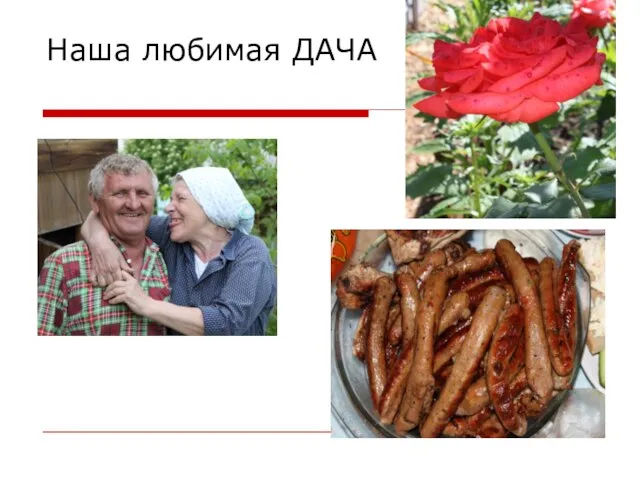 Наша любимая ДАЧА