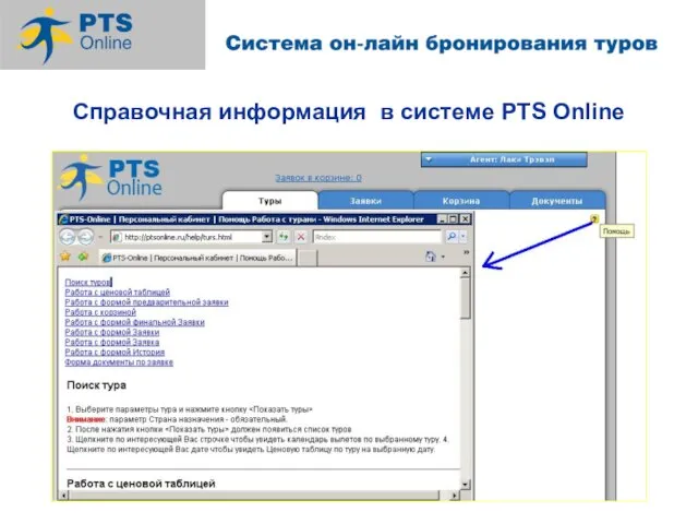 Справочная информация в системе PTS Online