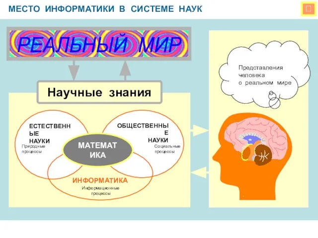  МЕСТО ИНФОРМАТИКИ В СИСТЕМЕ НАУК Научные знания ЕСТЕСТВЕННЫЕ НАУКИ ОБЩЕСТВЕННЫЕ НАУКИ