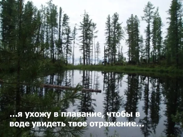 …я ухожу в плавание, чтобы в воде увидеть твое отражение…