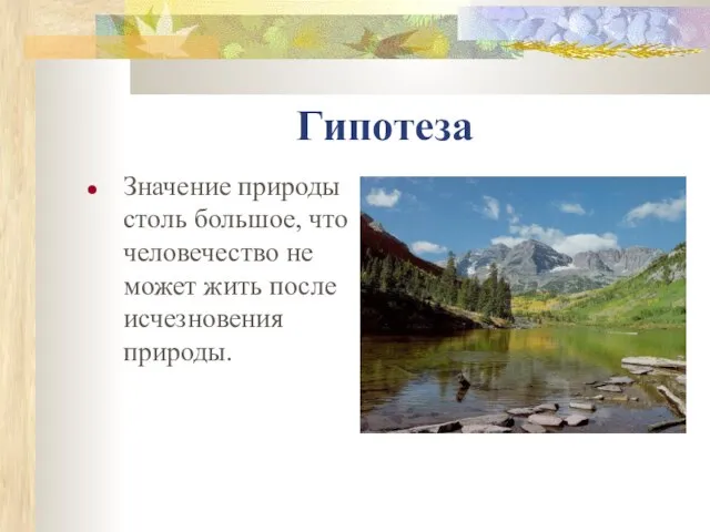 Гипотеза Значение природы столь большое, что человечество не может жить после исчезновения природы.