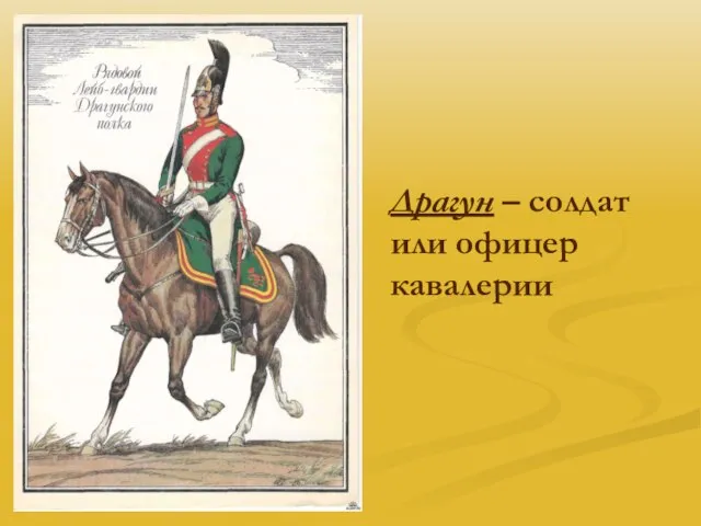 Драгун – солдат или офицер кавалерии