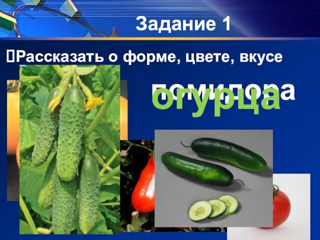 Рассказать о форме, цвете, вкусе Задание 1 помидора огурца