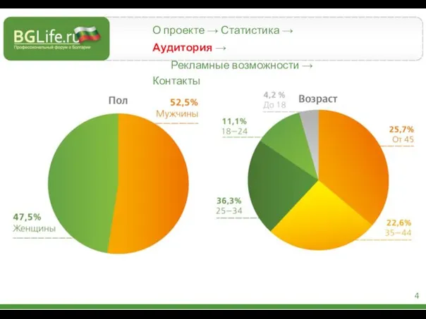 О проекте → Статистика → Аудитория → Рекламные возможности → Контакты 4