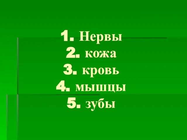 1. Нервы 2. кожа 3. кровь 4. мышцы 5. зубы