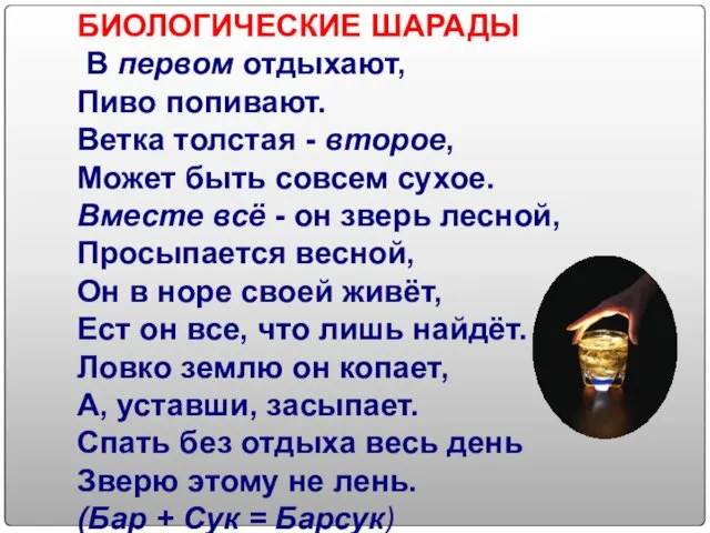 БИОЛОГИЧЕСКИЕ ШАРАДЫ В первом отдыхают, Пиво попивают. Ветка толстая - второе, Может