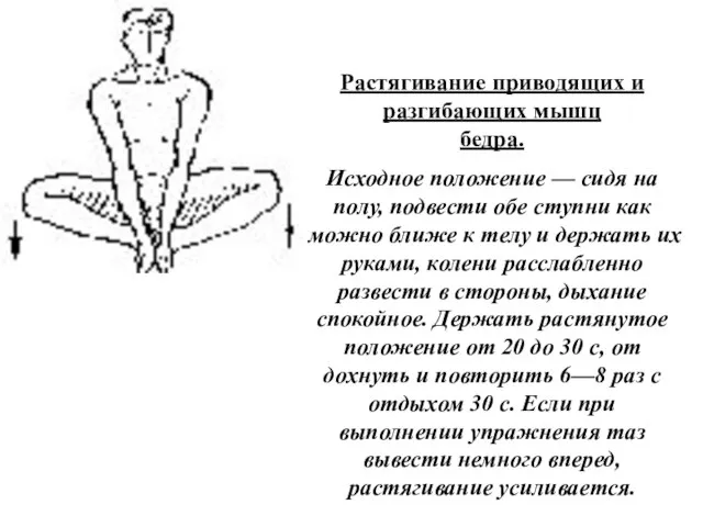 Растягивание приводящих и разгибающих мышц бедра. Исходное положение — сидя на полу,