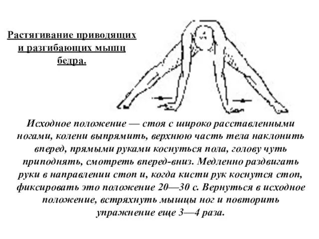 Растягивание приводящих и разгибающих мышц бедра. Исходное положение — стоя с широко