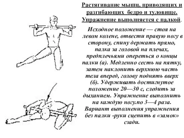 Растягивание мышц, приводящих и разгибающих бедро и туловище. Упражнение выполняется с палкой.