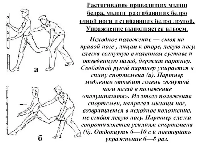 Растягивание приводящих мышц бедра, мышц разгибающих бедро одной ноги и сгибающих бедро