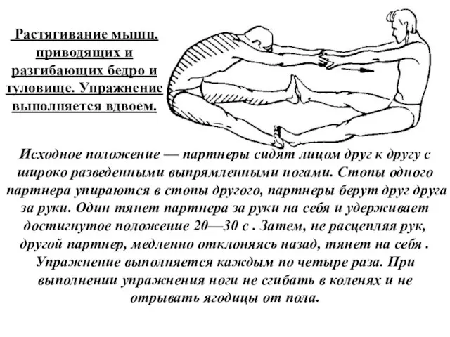 Растягивание мышц, приводящих и разгибающих бедро и туловище. Упражнение выполняется вдвоем. Исходное