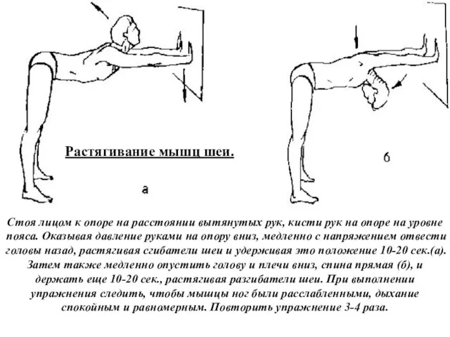 Растягивание мышц шеи. Стоя лицом к опоре на расстоянии вытянутых рук, кисти