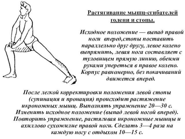 Растягивание мышц-сгибателей голени и стопы. Исходное положение — выпад правой ноги вперед,стопы