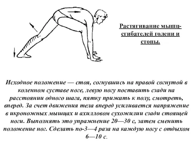 Растягивание мышц-сгибателей голени и стопы. Исходное положение — стоя, согнувшись на правой