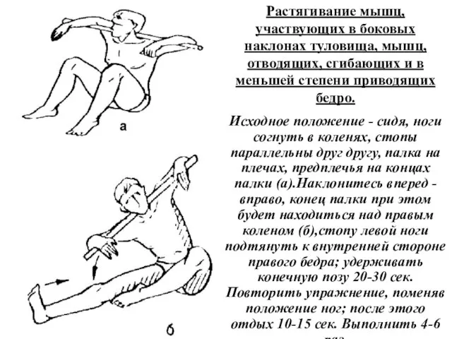 Растягивание мышц, участвующих в боковых наклонах туловища, мышц, отводящих, сгибающих и в