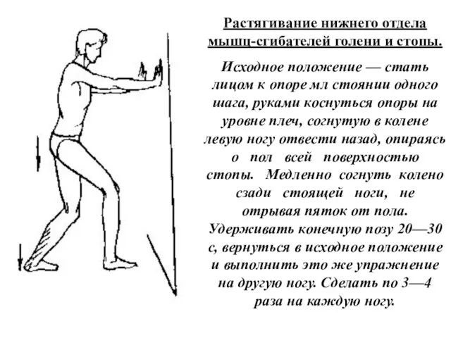 Растягивание нижнего отдела мышц-сгибателей голени и стопы. Исходное положение — стать лицом