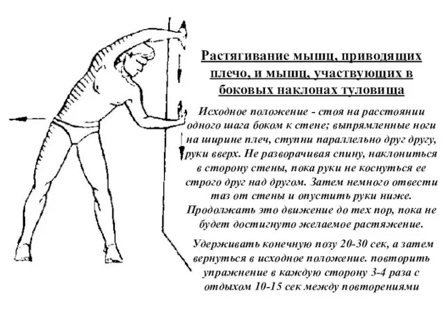 Растягивание мышц, приводящих плечо, и мышц, участвующих в боковых наклонах туловища Исходное