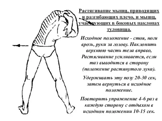 Растягивание мышц, приводящих и разгибающих плечо, и мышц, участвующих в боковых наклонах