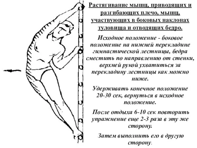 Растягивание мышц, приводящих и разгибающих плечо, мышц, участвующих в боковых наклонах туловища