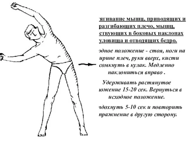 Растягивание мышц, приводящих и разгибающих плечо, мышц, участвующих в боковых наклонах туловища