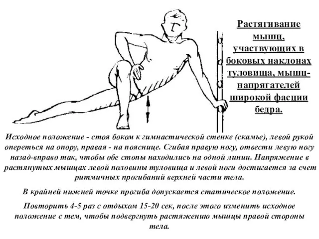 Растягивание мышц, участвующих в боковых наклонах туловища, мышц-напрягателей широкой фасции бедра. Исходное