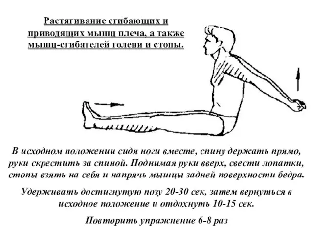 Растягивание сгибающих и приводящих мышц плеча, а также мышц-сгибателей голени и стопы.