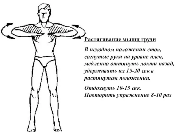 Растягивание мышц груди В исходном положении стоя, согнутые руки на уровне плеч,