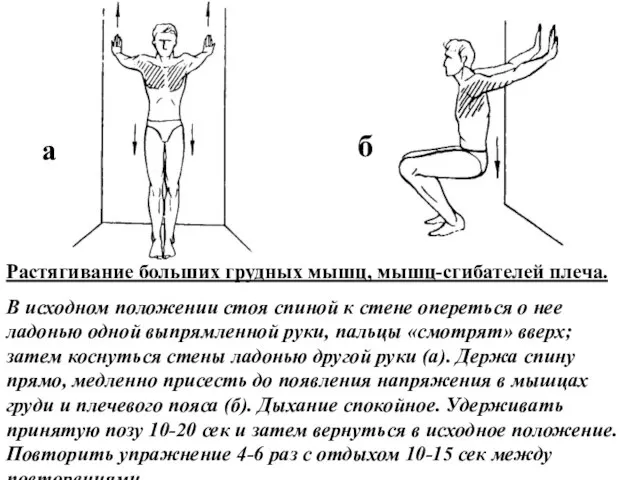 Растягивание больших грудных мышц, мышц-сгибателей плеча. В исходном положении стоя спиной к