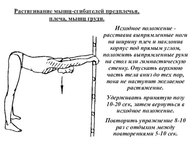 Растягивание мышц-сгибателей предплечья, плеча, мышц груди. Исходное положение - расставив выпрямленные ноги