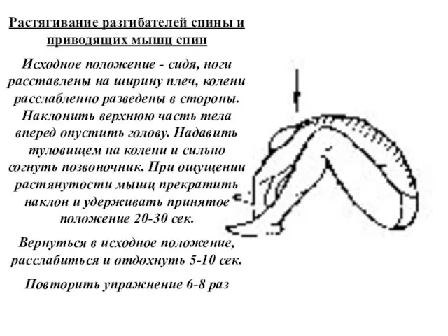 Растягивание разгибателей спины и приводящих мышц спин Исходное положение - сидя, ноги