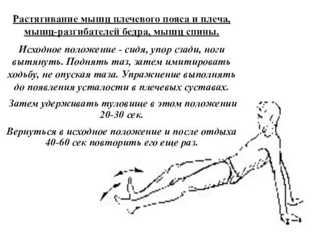 Растягивание мышц плечевого пояса и плеча, мышц-разгибателей бедра, мышц спины. Исходное положение