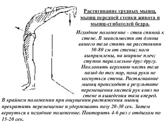 Растягивание грудных мышц, мышц передней стенки живота и мышц-сгибателей бедра. Исходное положение