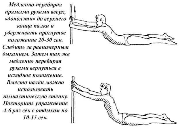 Медленно перебирая прямыми руками вверх, «доползти» до верхнего конца палки и удерживать