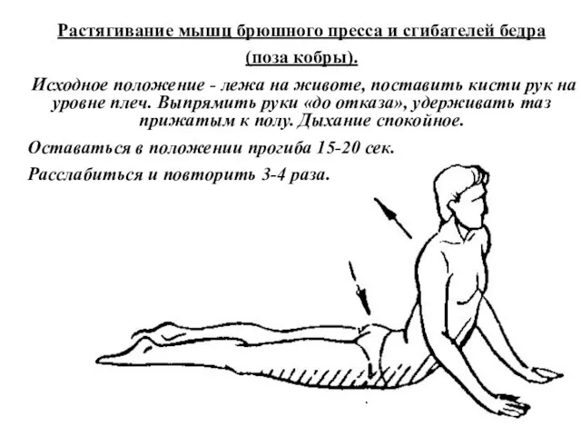 Растягивание мышц брюшного пресса и сгибателей бедра (поза кобры). Исходное положение -