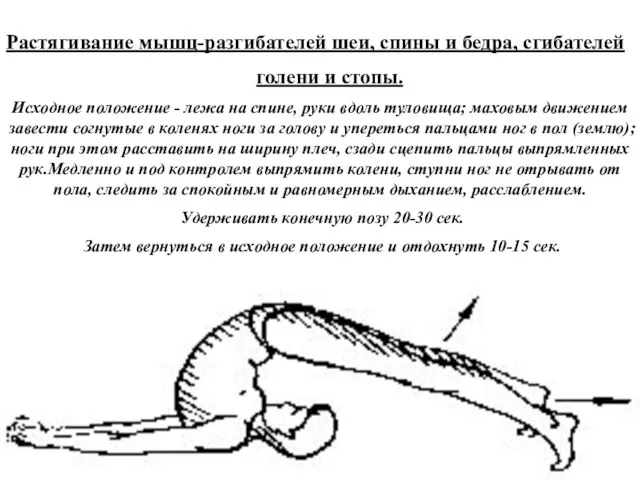 Растягивание мышц-разгибателей шеи, спины и бедра, сгибателей голени и стопы. Исходное положение