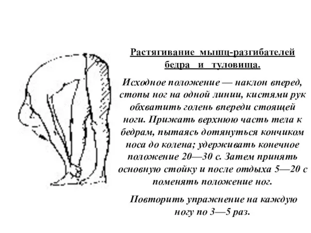 Растягивание мышц-разгибателей бедра и туловища. Исходное положение — наклон вперед, стопы ног