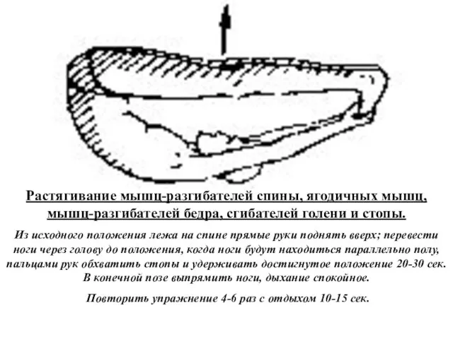 Растягивание мышц-разгибателей спины, ягодичных мышц, мышц-разгибателей бедра, сгибателей голени и стопы. Из