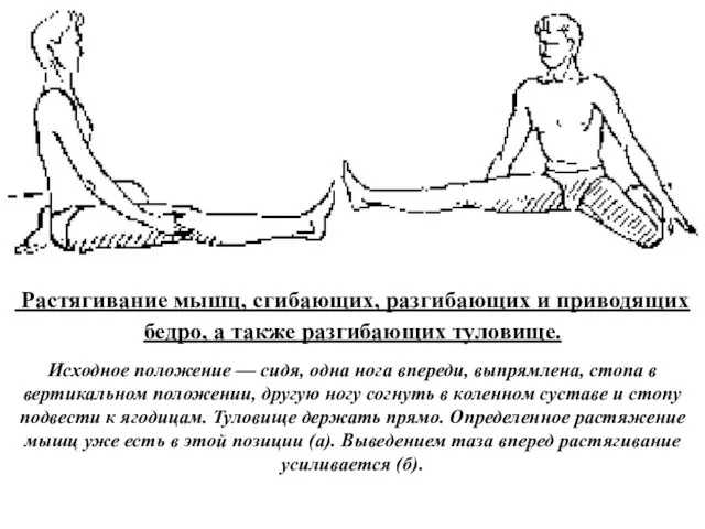 а б Растягивание мышц, сгибающих, разгибающих и приводящих бедро, а также разгибающих