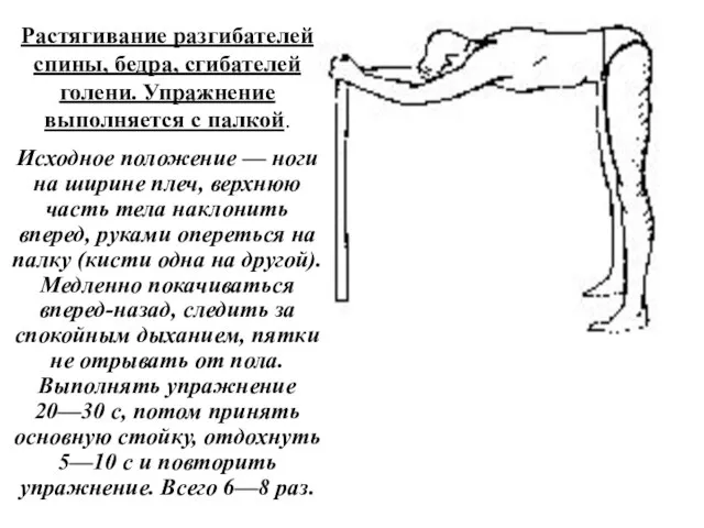 Растягивание разгибателей спины, бедра, сгибателей голени. Упражнение выполняется с палкой. Исходное положение