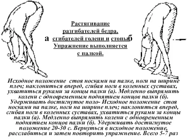 Растягивание разгибателей бедра, сгибателей голени и стопы. Упражнение выполняется с палкой. Исходное