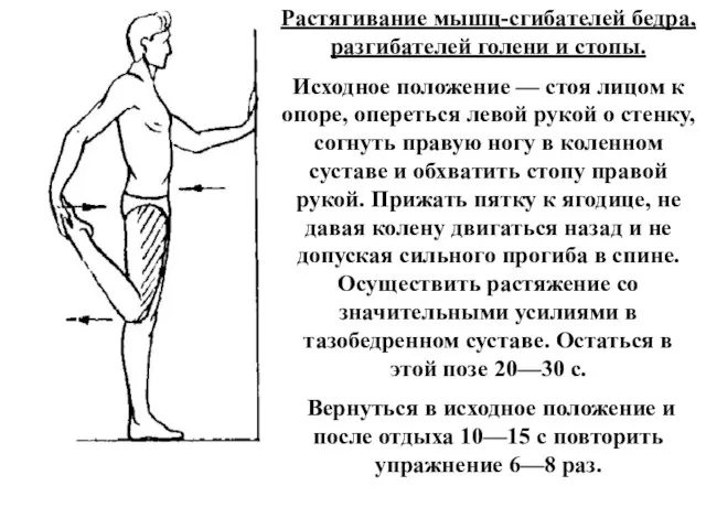 Растягивание мышц-сгибателей бедра, разгибателей голени и стопы. Исходное положение — стоя лицом