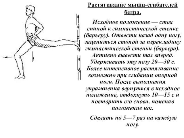 Растягивание мышц-сгибателей бедра. Исходное положение — стоя спиной к гимнастической стенке (барьеру).