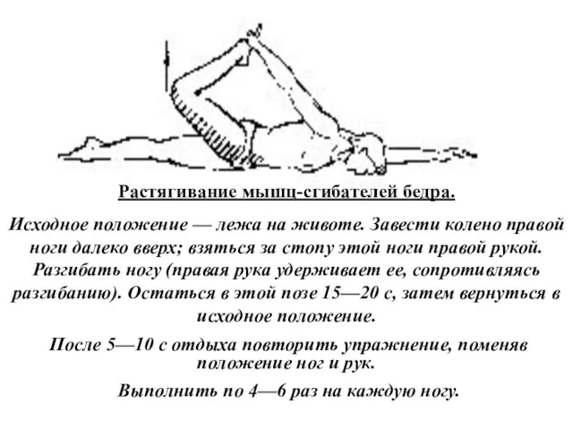 Растягивание мышц-сгибателей бедра. Исходное положение — лежа на животе. Завести колено правой