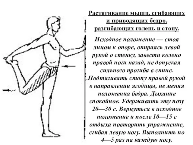 Растягивание мышц, сгибающих и приводящих бедро, разгибающих голень и стопу. Исходное положение