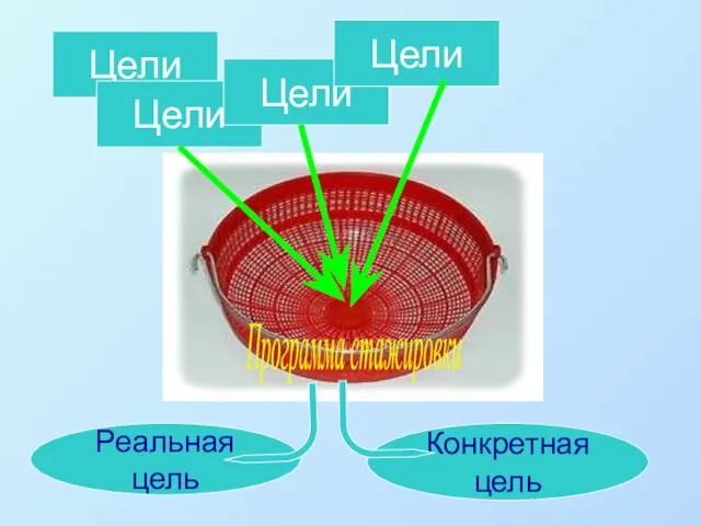 Конкретная цель Реальная цель Программа стажировки