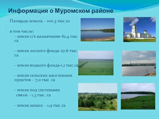 Информация о Муромском районе Площадь земель – 100,3 тыс.га в том числе:
