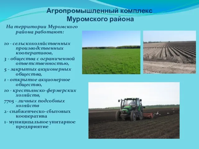 Агропромышленный комплекс Муромского района На территории Муромского района работают: 10 - сельскохозяйственных
