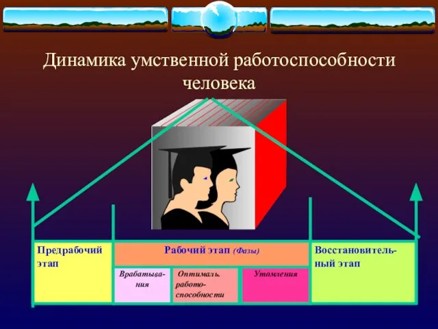 Динамика умственной работоспособности человека Предрабочий этап Рабочий этап (Фазы) Врабатыва-ния Оптималь. работо-способности Утомления Восстановитель-ный этап